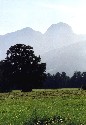 Bild1
