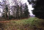 Bild10