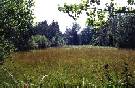 Bild5