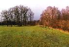 Bild6