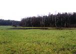 Bild7