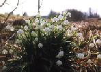 Bild8