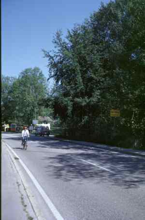Stadteingang