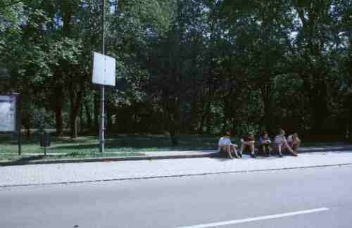 Geh&ouml;lzbestand