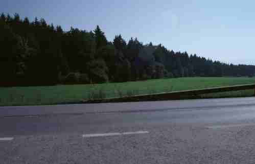 Waldrand