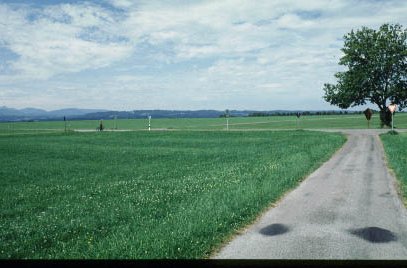 Blick nach Norden