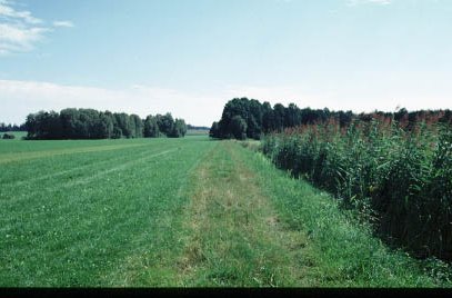 Feldweg Richtung Osten
