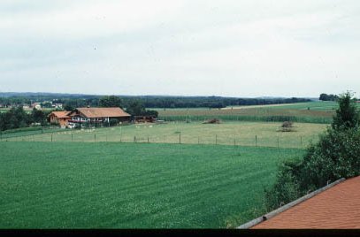 Drumlin von Heimatsberg