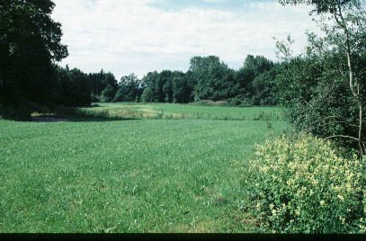 Glonnauen