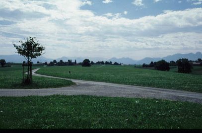 Blick nach Ellmosen