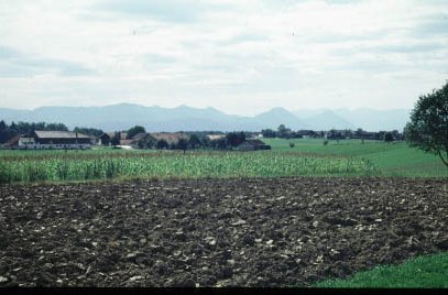 Zell