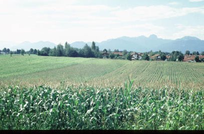 Blick auf den Wendelstein