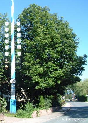 Die Rosskastanien beim Kriechbaumer in Mietraching