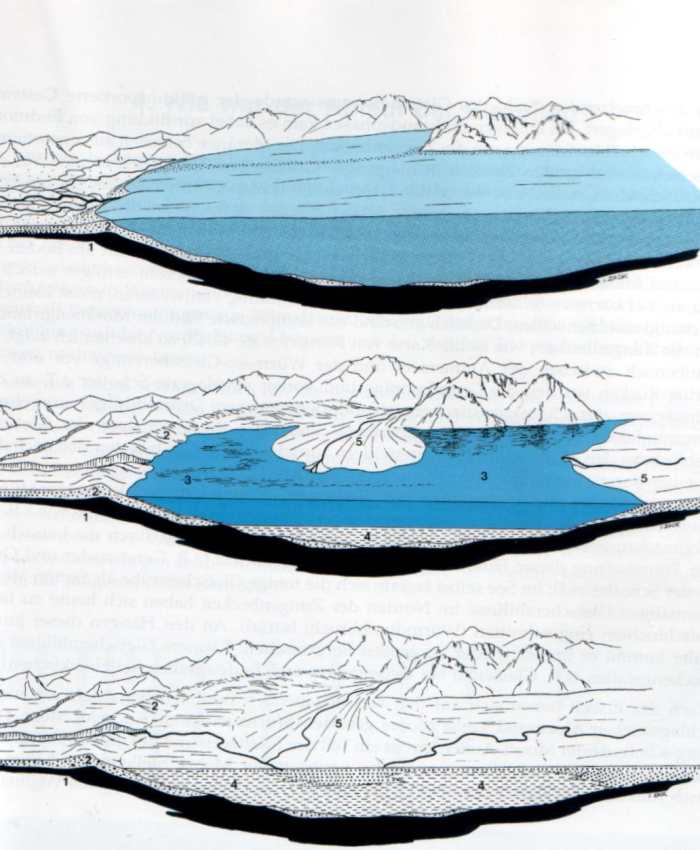 Entwicklung von Zungenbecken